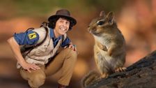 S1 E1: Andy and the Chipmunk