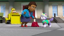 S3 E13: Pups Save Old Trusty; Pups Save a Pony