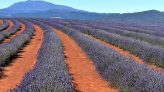 Australia's Big Backyards