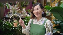 S34 E38: Gardening Australia