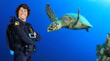 S1 E15: Andy and the Hawksbill Turtles