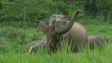 S1 E6: Thailand: The River Basin