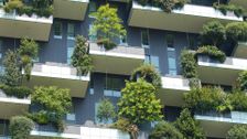 S1 E8: Urban Jungle