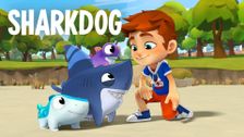 Sharkdog