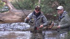 S9 E2: VIC Fly Fishing and SA Whiting
