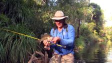 S2 E6: Sunny Coast Local Bass