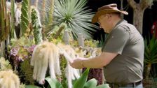 S34 E18: Gardening Australia