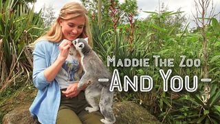Maddie, the Zoo and You