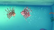 S2 E17: Lionfish