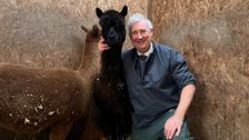 S16 E8: The Yorkshire Vet