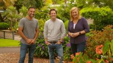 S26 E8: Better Homes and Gardens