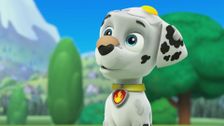 S1 E18: Pups Save the Easter Egg Hunt