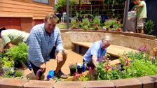 S23 E4: Better Homes and Gardens