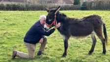 S15 E1: The Yorkshire Vet
