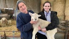 S14 E3: The Yorkshire Vet