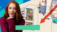 S3 E2: Fridge