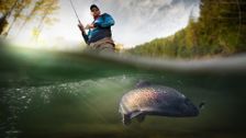 S2 E4: On the Fly