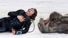 S1 E10: Andy and the Weddell Seals