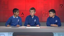 S18 E4: It's Academic
