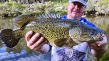 S5 E2: Gorge Country Cod, Pt. 2