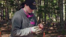 S11 E12: Digging Back In