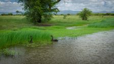 S7 E9: Central Queensland: Into the Hinterland