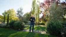 S32 E31: Better Homes and Gardens